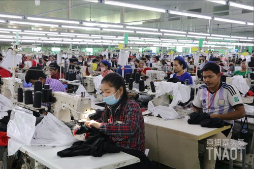 柬埔寨eba告急,三大機(jī)構(gòu)聯(lián)合要求歐盟延期撤銷