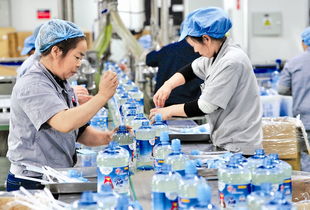 互聯網和實體融合助推烏魯木齊工業發展